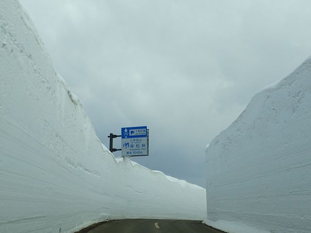 �}����_��̉�L