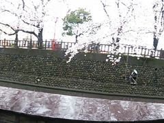 ���c�J�擙�X�͂̏Z�l����̑D���`�Ղւ̓��e�ʐ^1