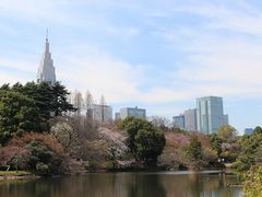 �V�h�䉑�̎ʐ^2