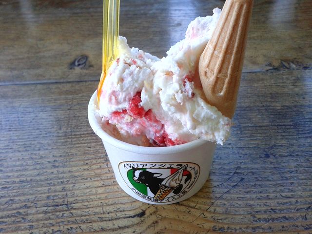 �J�b�v�ɂ��܂���_���c���q��A�C�X�H�[