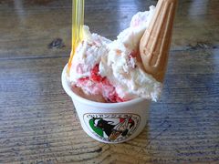 hakoneatami����̂ւ̓��e�ʐ^1