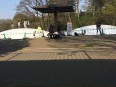 �ڂ������̋u�����̎ʐ^1