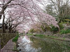 �����x�̎ʐ^1