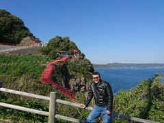 Ȃ񂳂̌T_Ђւ̓eʐ^1