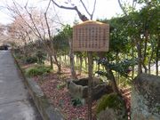 �n���j�o������̗������i������ِՁj�̓��e�ʐ^1