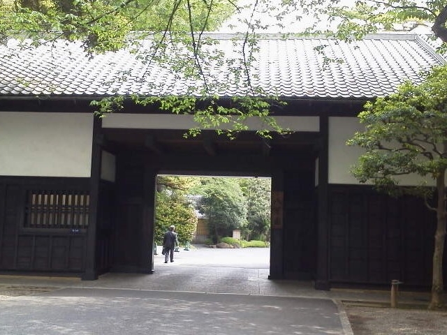 ����_���F��