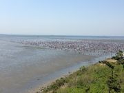 ق킢Ă̖؍XÊC݂̓eʐ^1