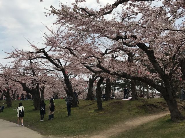 �������̍�����_�ܗŊs����