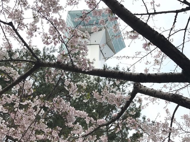 ���ƌܗŊs�^���[_�ܗŊs����