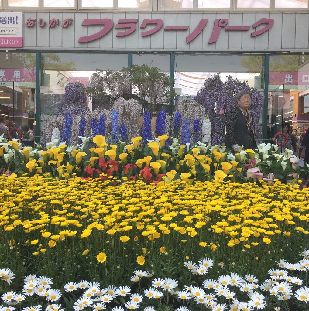 栃木の動物園 植物園ランキングtop10 じゃらんnet