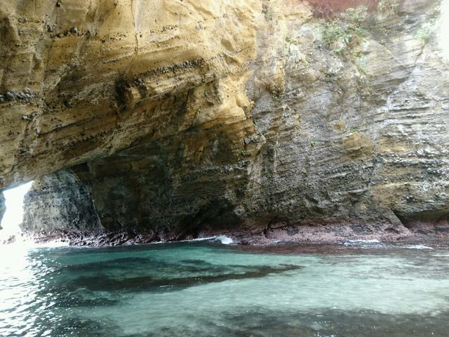 �f�G�ȏꏊ�ł����B_���{�A