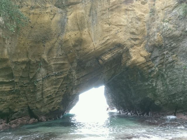 ���R�̑f���炵���������܂����B_���{�A