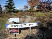 񂳂̂̃ccW̓eʐ^1