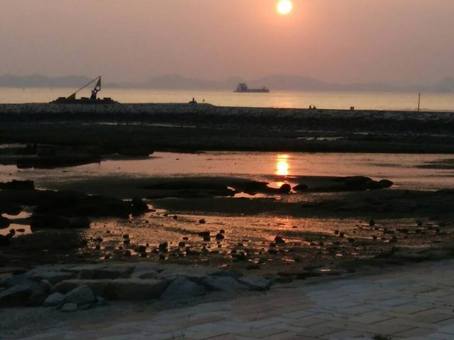 �[�z�@2_�����r�[�`�Ė�