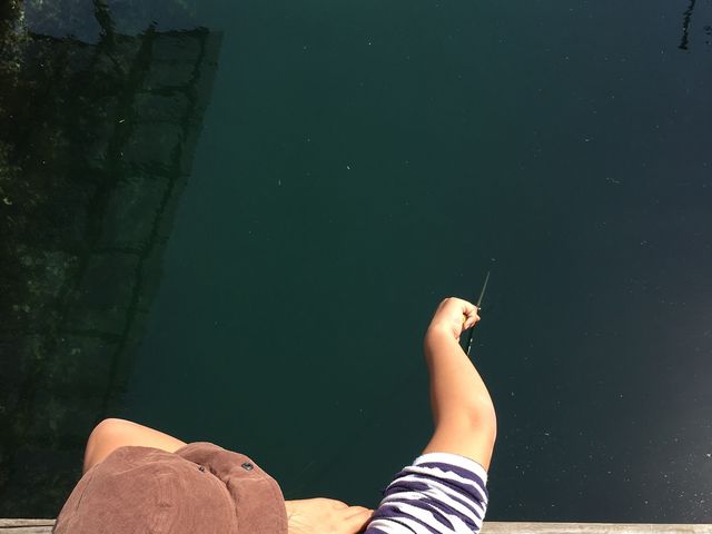 �ނ�邩�ȁ`�B_�C�̉w���������s��