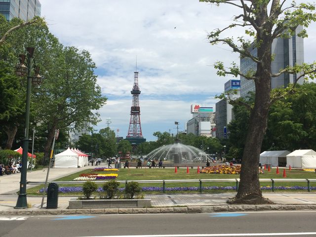 ��ʌ������猩�������ۂ�e����_�����ۂ�e���r��