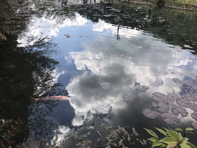 �r�ɉf�����__���l�̒r�@�򕌌�