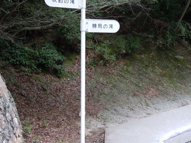 �ē��W��_����̑�