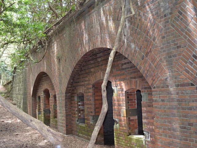 �����L��_�����E�F����