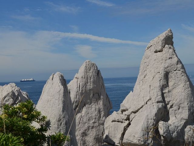 ���_����C��