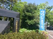 Xkv̋vĕSN̂̓eʐ^1