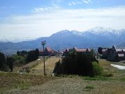 ܂񂳂̏zۓԃXL[̓eʐ^1