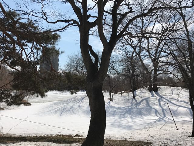 �c��_��������