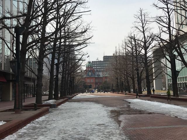 ���܂���_�k�C�������{����(�Ԃ�񂪒���)