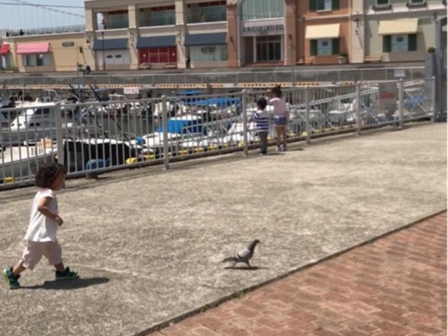 �~�n���͍L���A�q�����������r���ɑ������Ă��܂����B_�O��A�E�g���b�g�p�[�N�@�}�����s�A�_��