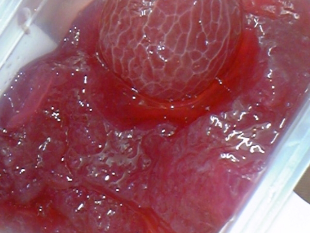 傭̃t[cJtF@YAMASAN̓eʐ^1