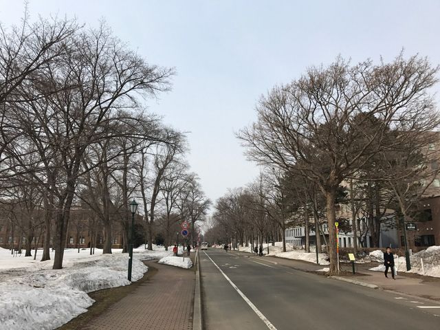 �L��ȃL�����p�X_�k��C�`���E����