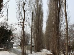 topology̖k|v؂ւ̓eʐ^1