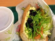 ҂߂ꂨ̃TuEFCܔcTOCrX̓eʐ^1