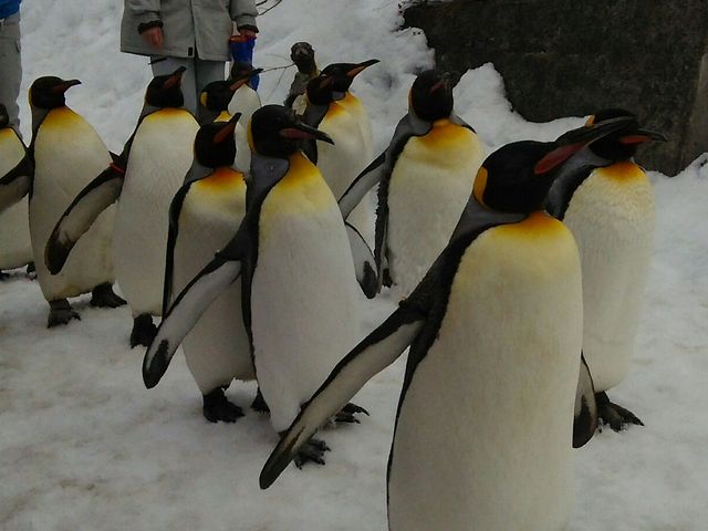 ��̏������y���M��_���R������