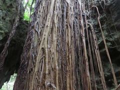 Ă̃KK[̒Jւ̓eʐ^1