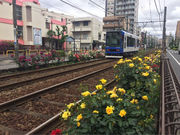 Ƃ񂷂̓sd̃o̓eʐ^2