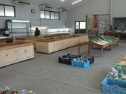 ꂨ񂳂̐ԏ_Yi񒼔j̓eʐ^3