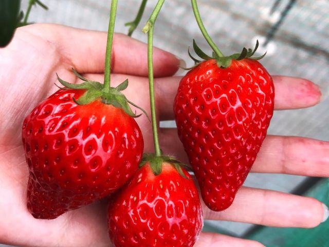 ÂđU!!_kc_@䕂̃}VF