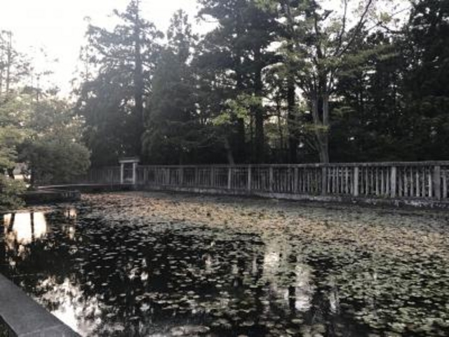 �揊_�O�c�����揊