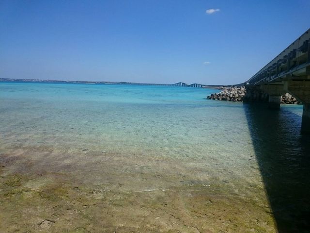 ƂĂꂢȍlƊC݂łB_ɗǕEn