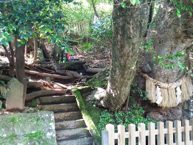 ꡔq���Ƌt�����ɉ���ƁA�V�^����B�E�̑�؂̍����ɂ���͂��̒�_�����ӂ�_��