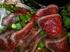 傭̖̋@쏕@GXpXւ̓eʐ^1