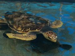 �|�������ق̎ʐ^1