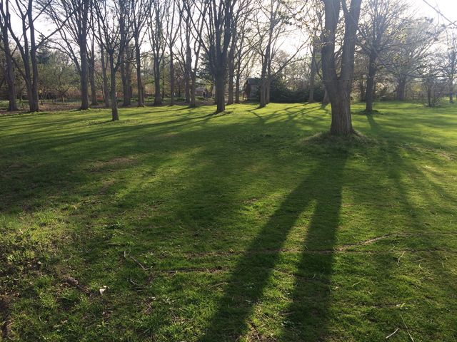 �������S����������_�S����������