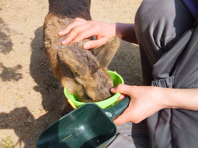 ǂłÅՂ_ԕCluӂꂠv