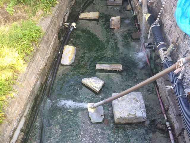 �����̐������c_�쓒����