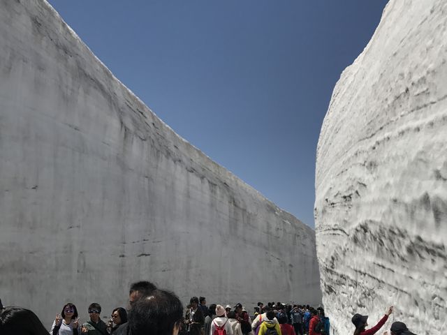 �܌��ł�15m�ȏ�̕ǂ����т��Ă��܂�_������