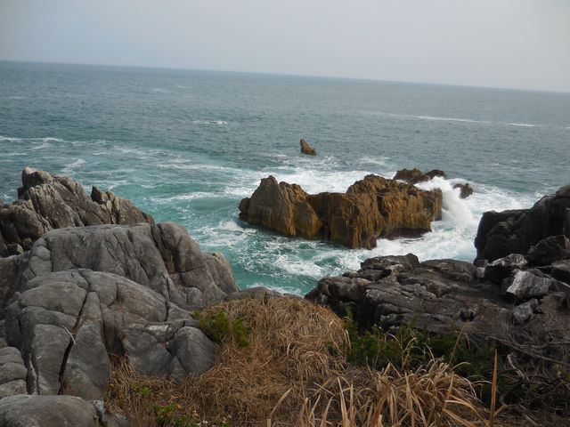 ������������_����������