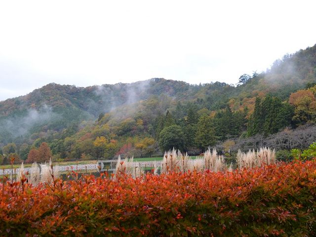 ���ɂ̒�_���j�g�s�A�������