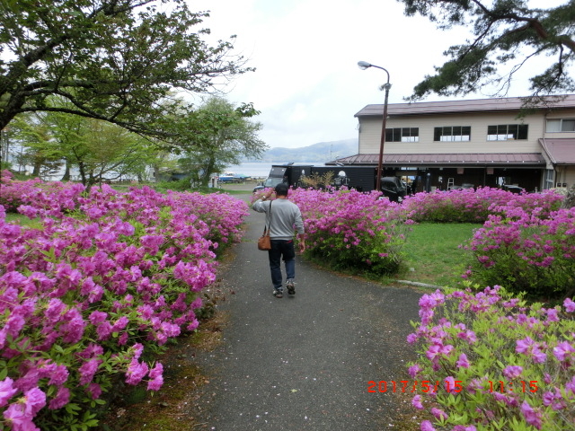 higekuma50̈uΔȗΒn̓eʐ^2